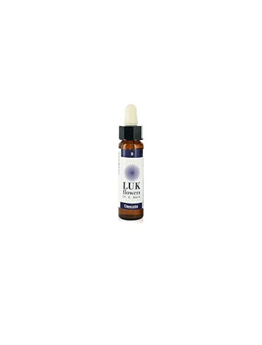 Clematis luk sto bot 10 ml