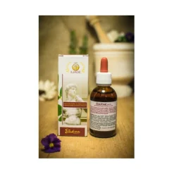 DAFNE GOCCE CON ALCOOL 50 ML