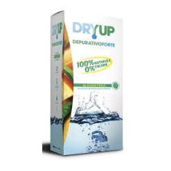 DRYUP DEPURATIVO FORTE 300 ML