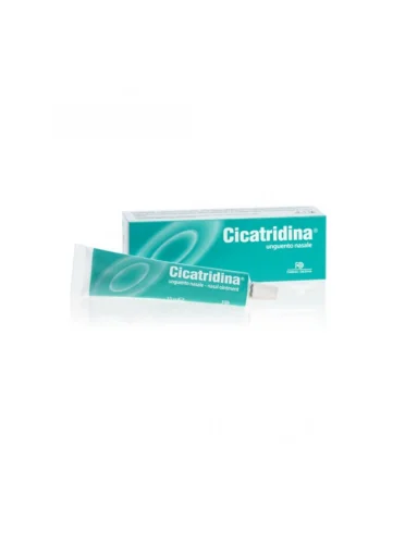 Cicatridina unguento nasale 15 g Cicatridina unguento nasale 15 g