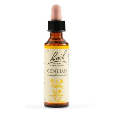 Fiori di Bach Original Genzianella Autunnale 20 ml