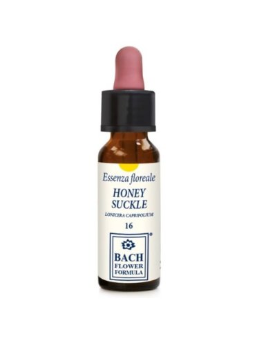 Honeysuckle essenza 30 ml