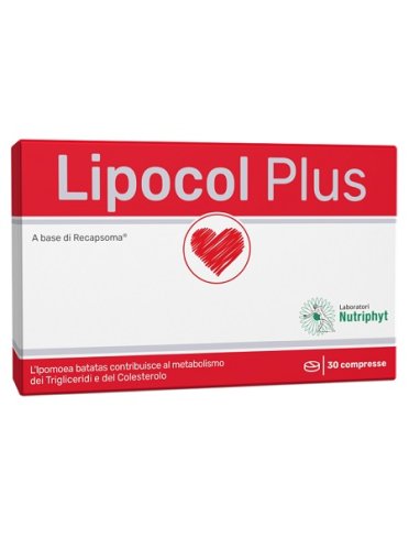 Lipocol plus - integratore per il controllo del colesterolo - 30 compresse