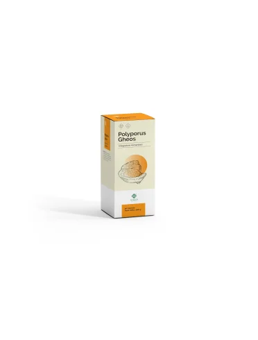 Polyporus gheos integratore drenante 90 capsule Polyporus gheos integratore drenante 90 capsule