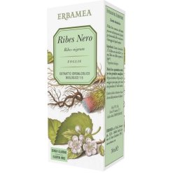 Ribes Nero Integratore Vie Urinarie 50 ml