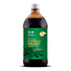 Salugea Succo di Olivello Spinoso Bio - Integratore Ricostituente - 500 ml