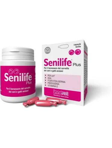 Senilife plus - integratore per la funzione cognitiva di cani e gatti - 60 capsule Senilife plus - integratore per la funzione cognitiva di cani e gatti - 60 capsule