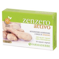 Zenzero Attivo Integratore Antiossidante 30 Capsule