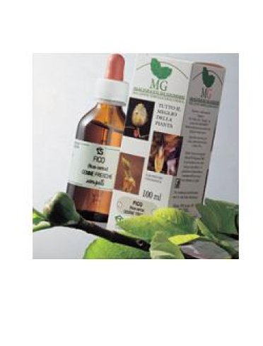 Betula pubescens 100ml mg