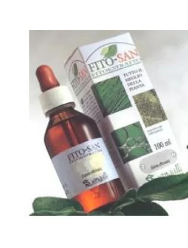 Ginkgo biloba fgl 100ml tm Ginkgo biloba fgl 100ml tm