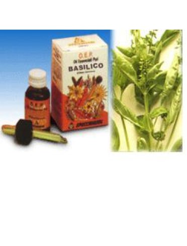 Basilico olio essenziale puro 10 ml