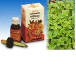 ORIGANO OLIO ESSENZIALE PURO 10 ML
