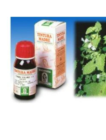 Melissa 17 50ml tm Melissa 17 50ml tm
