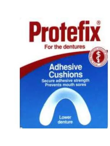 Protefix cuscinetto superiore 30 pezzi Protefix cuscinetto superiore 30 pezzi