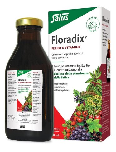 Floradix - integratore di ferro e vitamine - 250 ml