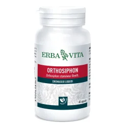 ORTOSIPHON 60 CAPSULE 400 MG