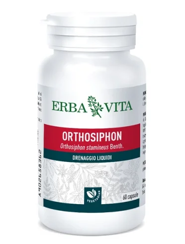 Ortosiphon 60 capsule 400 mg Ortosiphon 60 capsule 400 mg