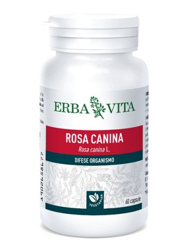 Rosa canina 60 capsule 400 mg