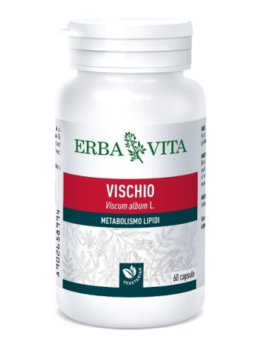 Vischio 60 capsule 400 mg