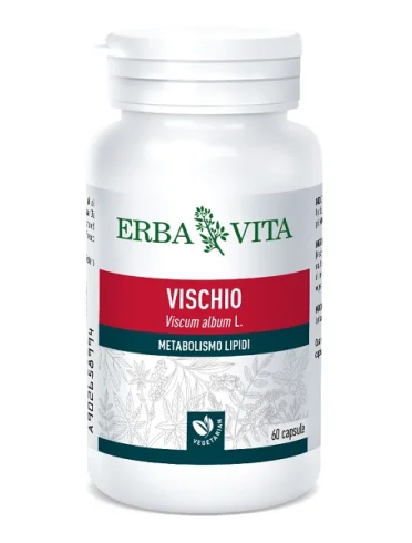 Vischio 60 capsule 400 mg Vischio 60 capsule 400 mg