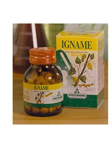 Igname erbe 60tav Igname erbe 60tav