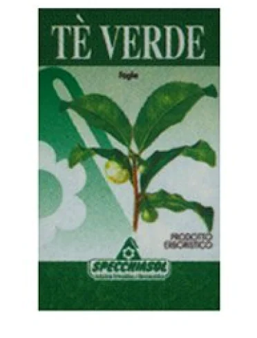 The ve erbe 60cps The ve erbe 60cps
