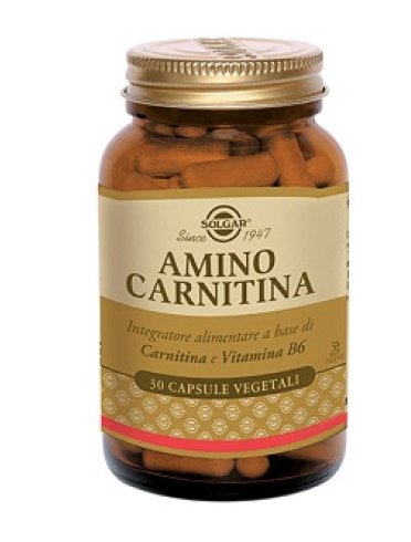Solgar amino carnitina - integratore di carnitina e vitamina b6 - 30 capsule