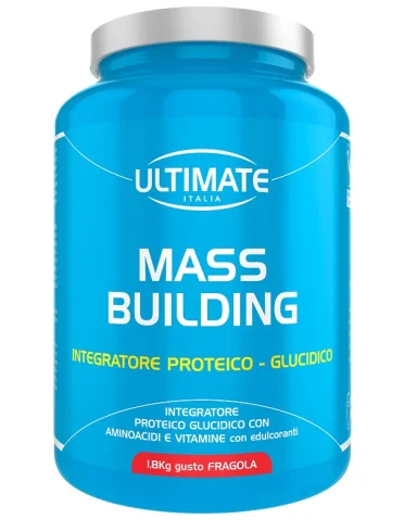 Mass building fragola 1,8 kg 1 pezzo