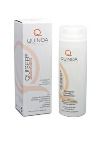 Quiseb sebodetergente fluido 200 ml