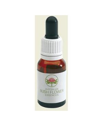 Hibbertia 15ml gtt