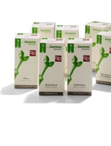 Faggio 200ml mg fitomedical =