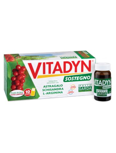 Vitadyn sostegno 10 flaconcini 10 ml