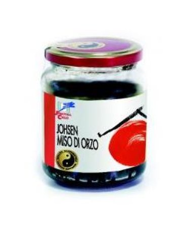 Miso d'orzo biologico 300g