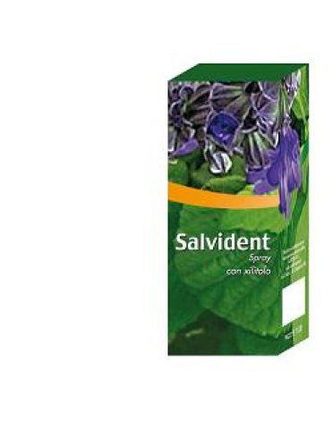 Salvident soluzione idroalcolica in spray 30 ml