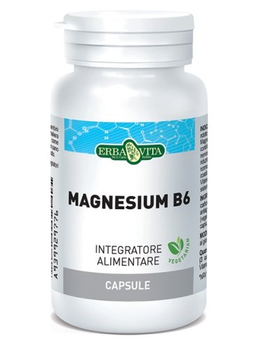 Magnesium b6 60 capsule