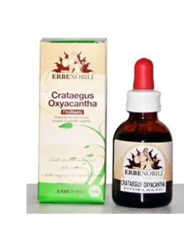 Fitoblasto crataegus oxyacantha 50 ml Fitoblasto crataegus oxyacantha 50 ml