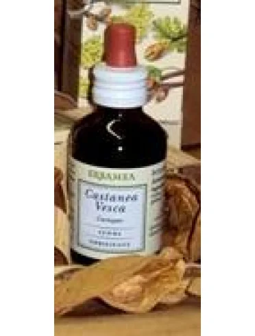 Castanea vesca gemme gemmoder Castanea vesca gemme gemmoder