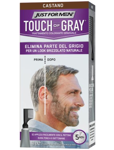 Just for men touch of gray trattamento colorante graduale castano 40 g