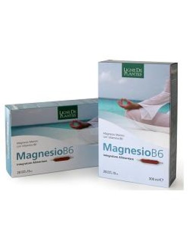 Magnesio b6 20 ampolle bevibili da 15 ml