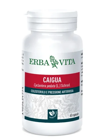Caigua 60 capsule 400 mg Caigua 60 capsule 400 mg