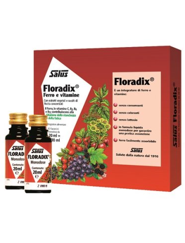 Floradix - integratore di ferro e vitamine - 10 fiale monodose