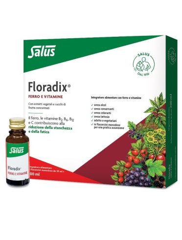 Floradix - integratore di ferro e vitamine - 10 fiale monodose