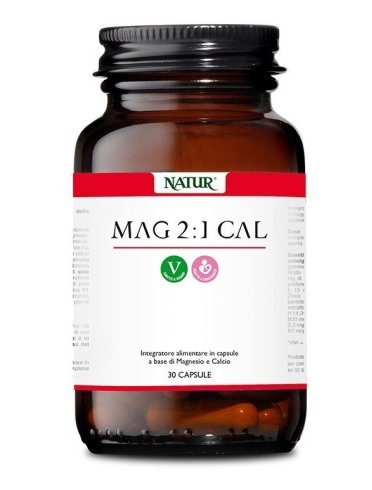 Mag 2:1 cal 30 capsule vegetali