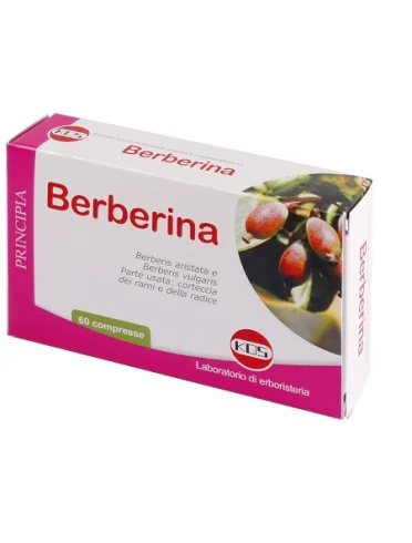 Berberina estratto secco 60 compresse Berberina estratto secco 60 compresse