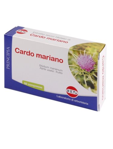 Cardo mariano estratto secco 60 compresse