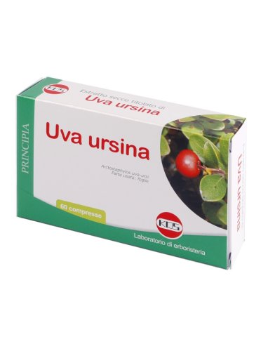 Uva ursina e.s. 60 cpr 300mg k