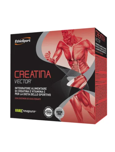 Creatina vector 20bust 8g Creatina vector 20bust 8g