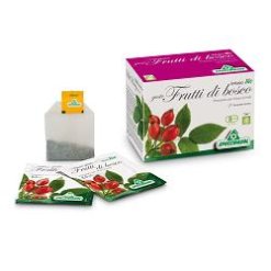 INFUSO BIO FRUTTABOSCO 20 FILTRI