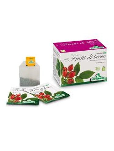 Infuso bio fruttabosco 20 filtri