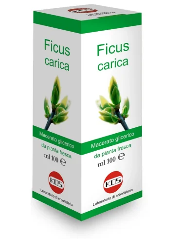 Ficus carica mg 100 ml gocce